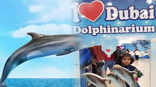 Dubai | Dolphin show