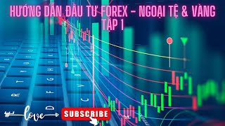 FXLog #1 - Hướng dẫn tự học đầu tư Forex - Ngoại tệ & vàng từ căn bản tới nâng cao