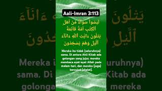 Aali-Imran 3:113