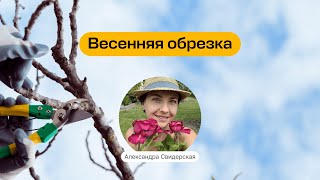 Весенняя обрезка | Запись прямого эфира школы «Умный садовник»