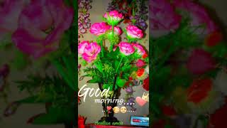 🌹Good morning 🌹 Love shayari video 🌹//Good morning wish video for love ❤//