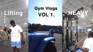 The Best RAW Gym Back & Bicep Day Vlog