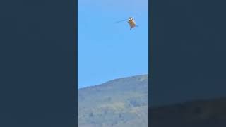 The return of the wildfires on the island of Maui in Hawaii, with the help of helicopters