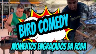 Bird Comedy - Momentos zoeiras da roda na montagem do weeee