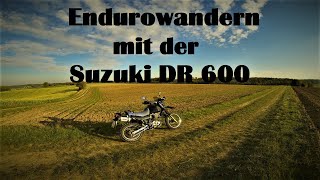 Offroad fahren mit der Suzuki DR 600