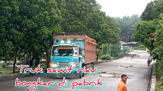 truk sawit tronton bongkar di pabrik!!@suriadi kw loader