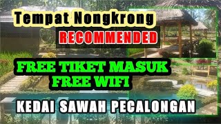 Tempat Nongkrong Asyik Free Wifi | Kedai Sawah Pecalongan #wisatadesa #wisatabondowoso