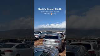 Maui - a field of unused car rentals. Tourism is down after the Lahaina Fire🔥. #maui #mauifires