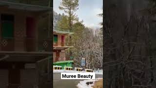 Muree un in Winter #travel