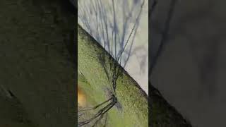 Shoot The Gap Quadcopter FPV