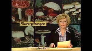 Tagesschaubericht - Pilzsammler (1977)