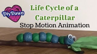 Stop motion caterpillar | DiyDawn