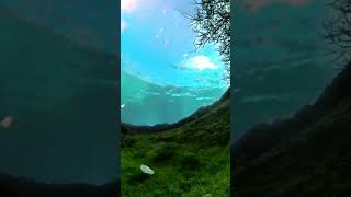 insta360 underwater  in Fujairah UAE