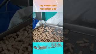 Soy Protein Food Extrusion Process Line