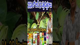 #Top #10 #Ten #పత్తి #విత్తనాలు #2024 #cotton #Best #seeds