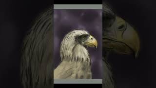 [Short] Painting an Eagle in Sketchbook Mobile #painting #drawing #art #timelapse