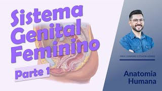 Aula 01 - Conceitos gerais e órgãos genitais internos - Anatomia Humana