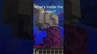 What's inside the Dolphin  #minecraft #meme #viral