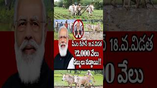 పీఎం కిసాన్ 18.వ.విడత 2,000 వేలు రైతుల అకౌంట్స్ కి జమ #youtubeshortvideos