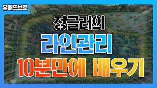 10분만에 마스터하는 정글러의 라인관리