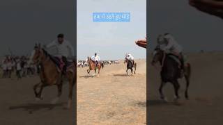 Horse racing videos #shortsfeed #marwarihorse #indianmusic #horse #marvarihorse #horselover