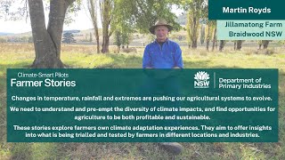 NSW DPI Farmer Stories | Martin Royds