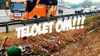 Full Bus Telolet !!! Cihuy🥳🥳🥳🥳 #bustelolet #busmania #basuri