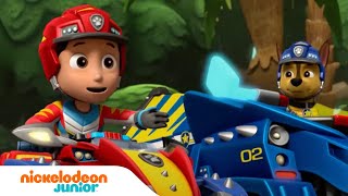 PAW Patrol : La Pat' Patrouille | Meilleures missions de sauvetage des DINOSAURES | Nickelodeon Jr.