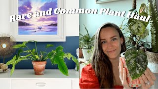 Rare and Common House Plant Haul | Plants I Bought in April & May