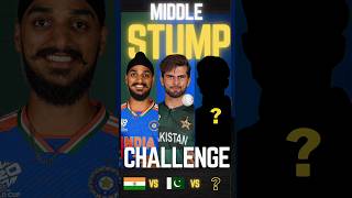 ARSHDEEP 🆚 AFRIDI 🆚 WILD CARD |  only Middle Stump Challenge #shorts