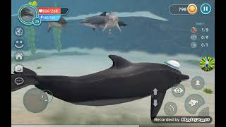 WildCraft #12 WildCraft Ocean World, играем за дельфина.🐬🐟