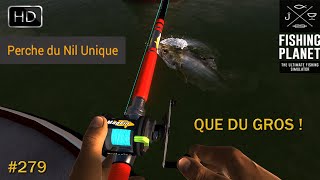 FISHING PLANET #279 ON PÊCHE LE PERCHE DU NIL TROPHÉE ET UNIQUE SUR LE FLEUVE CONGO 2024