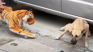 Fake Tigers vs Dogs Prank [Funny Pets]