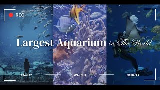 LARGEST Aquariums In The World | World's Largest Aquarium