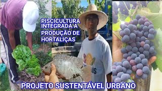 SISTEMA URBANO SUSTENTÁVEL, PISCICULTURA INTEGRADO À PRODUÇÃO DE HORTALIÇA