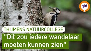 Zo spot je het nest van een specht | Thijmens Natuurcollege | BuitenGewoon