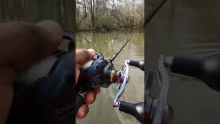 Toothy Predator Eats a bullshad glide