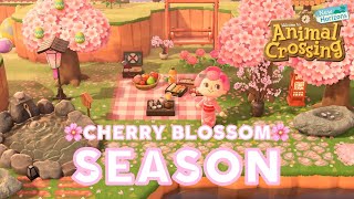 island DESIGN update! cherry blossom szn & bunny day furniture | @imAnnaMolly