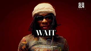 "WAIT" | Joeboy x Ayra Starr x Tems Type Beat | Afrobeat Instrumental 2024 | [Emotional Afrobeats]