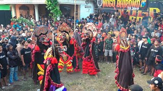 Barongan Galak‼️ Jaranan NOGO BHIROWO Live Sambirejo