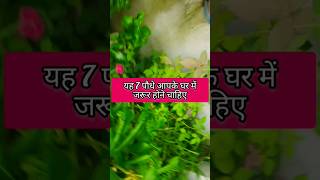 यह 7  पौधे आपके घर में जरूर होने चाहिए #7 plant you must have at your home #shots