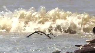 Grand Tower, IL prepares for flooding