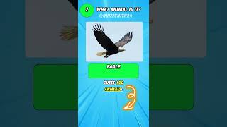 Guess The Animal by Its Scrambled Name. Scrambled Word Game Pt.3 #shorts #scrambledwordgame