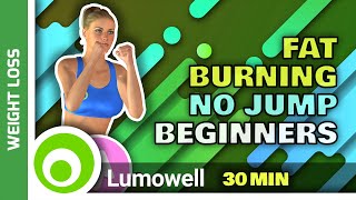 Beginner Workout For Fat Burning No Jumping