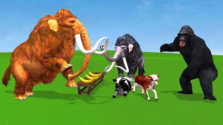 Dinosaur vs Woolly Mammoth Rescue Saved Cow Cartoon Buffalos From Giant Gorilla Wild Animals Foghts