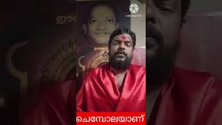 മലവാരം ദൈവങ്ങൾ മണപ്പുറത്ത് കളിച്ചുകൊണ്ടിരിക്കെയാണ്‌ ഒരു ചെമ്പോല  കിട്ടിയത്#shorts#വേദമന്ത്ര#