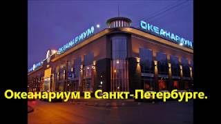 Океанариум Санкт-Петербурга  "Планета Нептун"  Planet Neptune Oceanarium