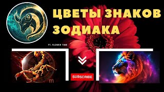 Цветы знаков зодиака. Цветы символы и талисманы.