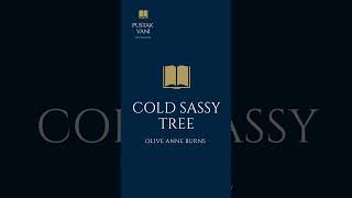 A Plot overview of the book Cold Sassy Tree by Olive Anne Burns