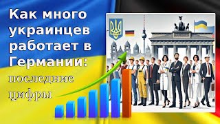 Как много украинцев работает в Германии: последние цифры / Беженцы 2024 / Беженцы в Германии